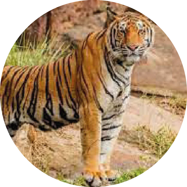 Hombre con expresión de satisfacción